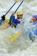 Raft 29